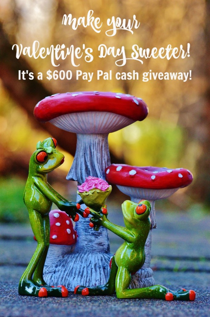 $600 Pay Pal Cash Giveaway