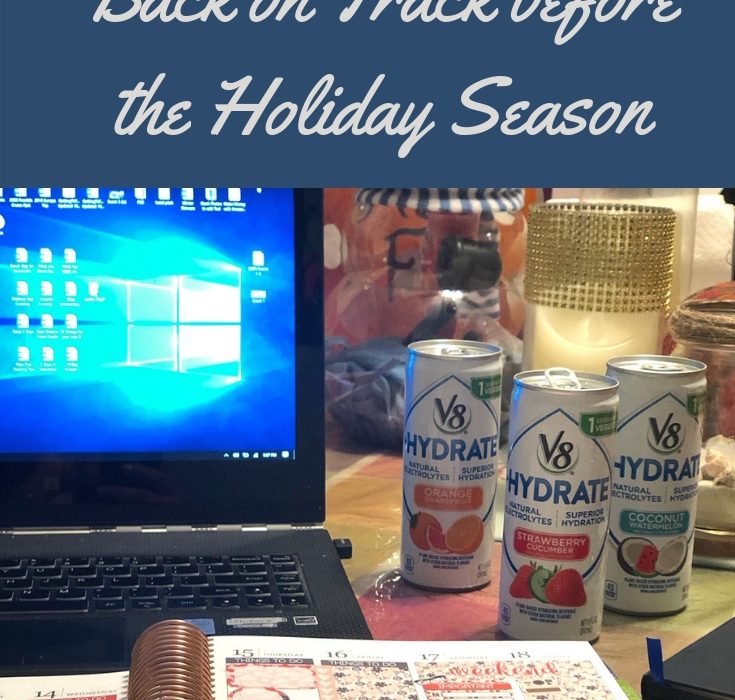 Stay on track during the holiday season with #V8HYDRATE! The natural electrolytes from vegetables will help you recharge during those long shopping trips. #ad #DrinkUp @V8