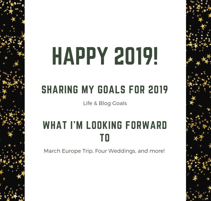 I'm finally sharing my 2019 goals! I definitely meant to share these earlier, but better late than never! What is one of your 2019 goals?!