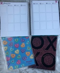 #ad| Do you have a special person in your life that you want to spoil this Galentine's Day? I'm sharing what I bought from ErinCondren for one of my best friends Brey! Check out my post to see what she'll be getting! #ECSquad